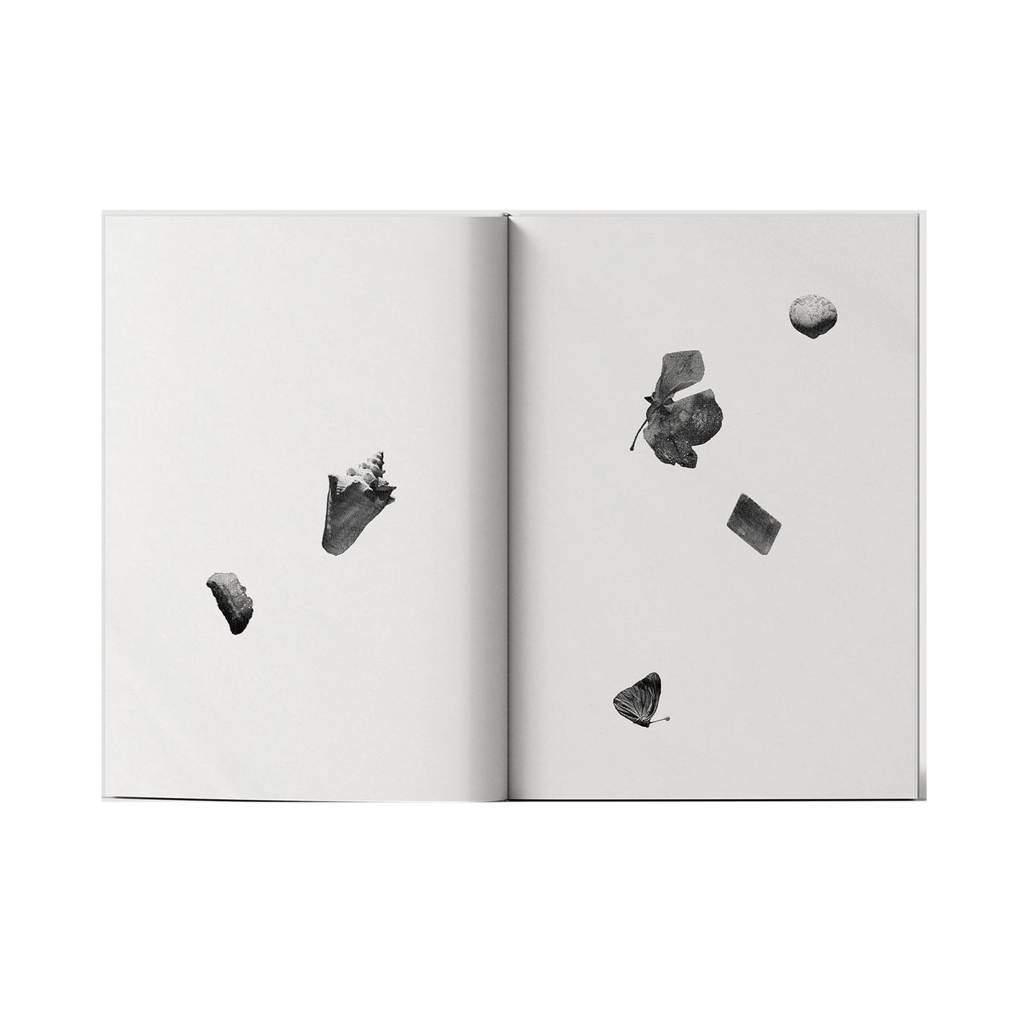 Divine Digest - Poetry Book